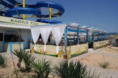 Magnus Fish