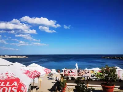 Магазин за фрехи