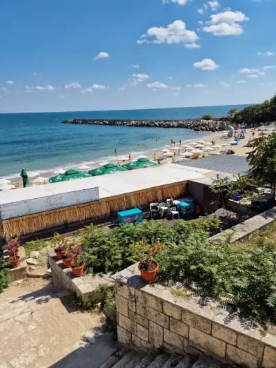 Магазин за фрехи