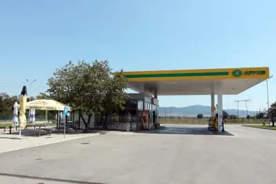КРУИЗ Живково