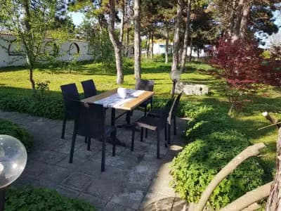 Restaurant "Slavyanka" - open