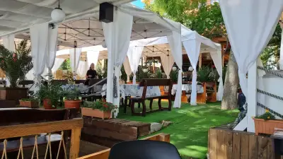 Оазис