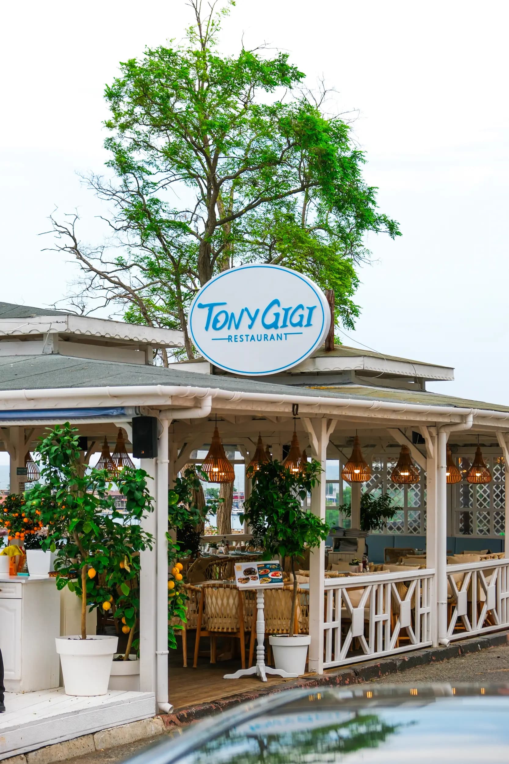 Tony Gigi