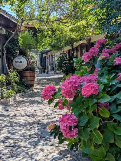 Restorant Kalisto