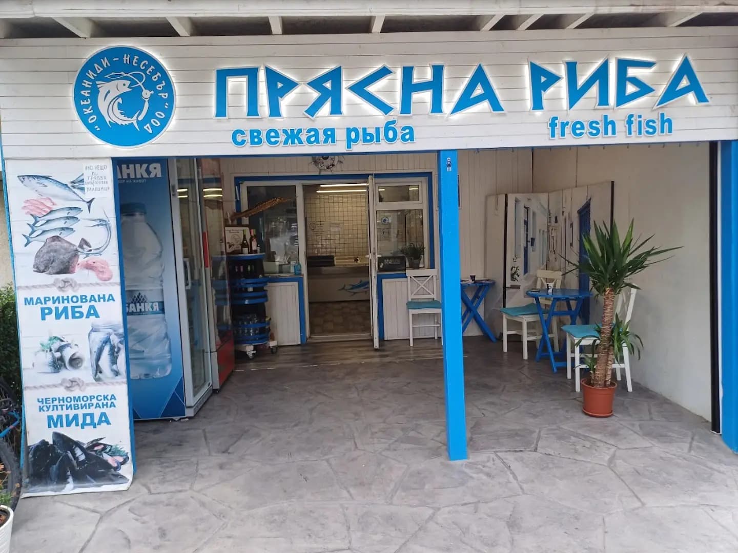 Прясна и замразена риба - ОКЕАНИДИ НЕСЕБЪР