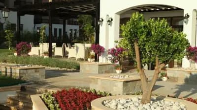 Restaurant Oasis Beach La Lavanda