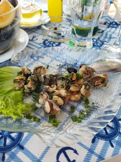 Restaurant Ajax