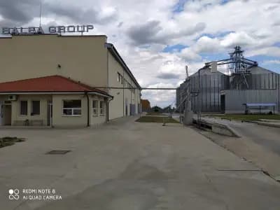 Балеа Груп