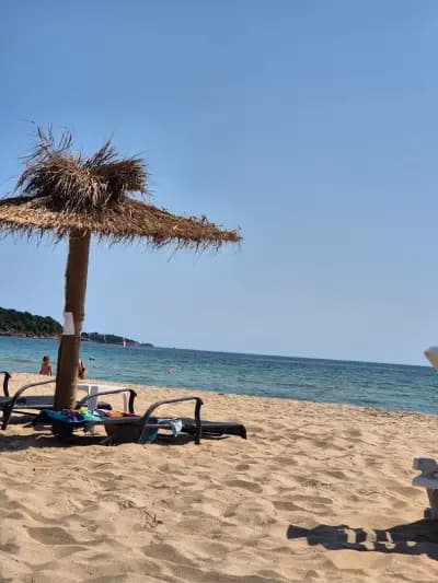 Beach bar Corral