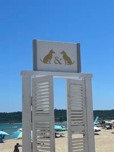 Куче & Куче / Dog & Dog