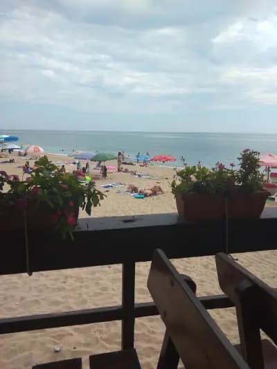 Beach Bar Vision