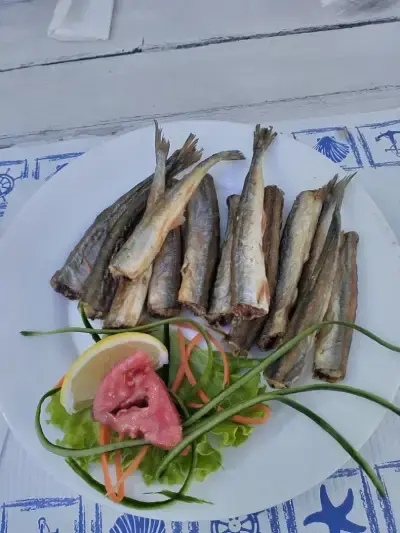 The fish house