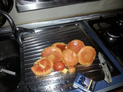 Dany's Fresh Fruit Juices