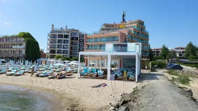 Luxury Beach Dolphin