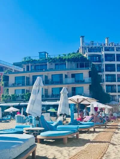 Luxury Beach Dolphin