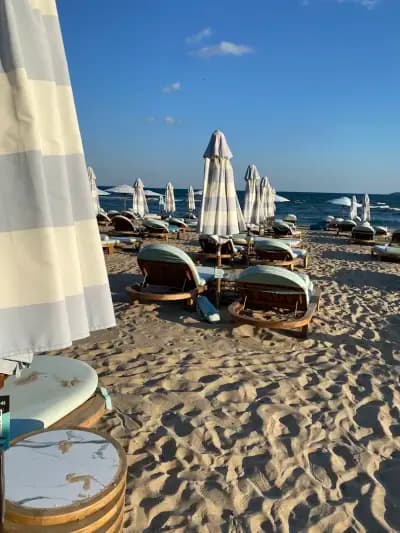 Luxury Beach Dolphin