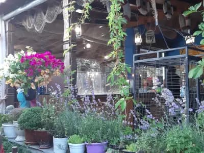 Барбекю и риба "БЪЧВАТА" BBQ & Fish “Buchvata”
