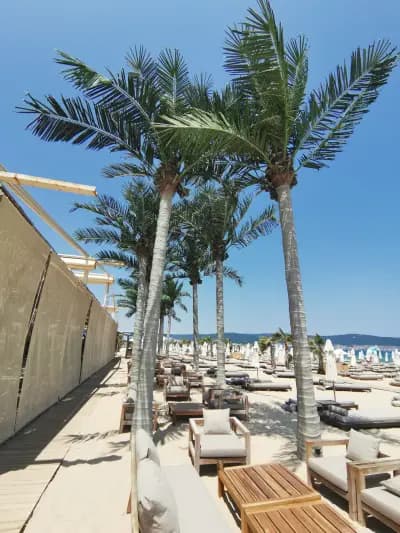 Za Zú Lounge & Restaurant | Sunny Beach