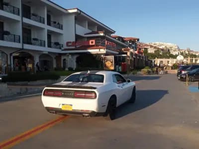 Casino Palace Marina Dinevi