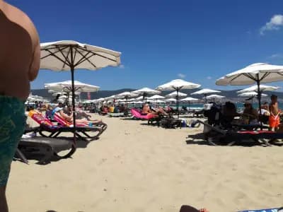 Beach Bar "VIKING"