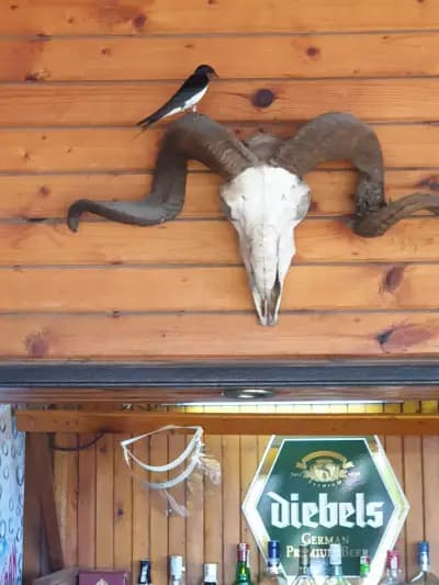 Ресторант ,,Терасата"/Restaurant ,,The Terrace"