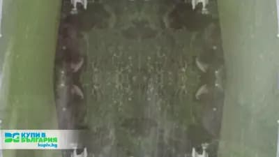 Купи в България