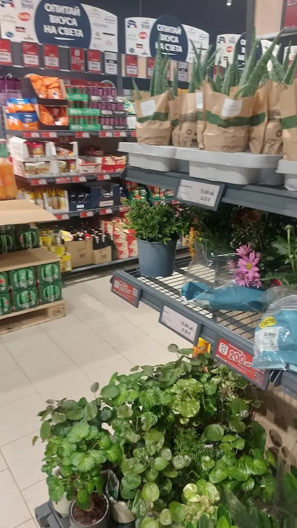 Lidl