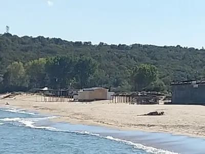 EXE Beach Bar