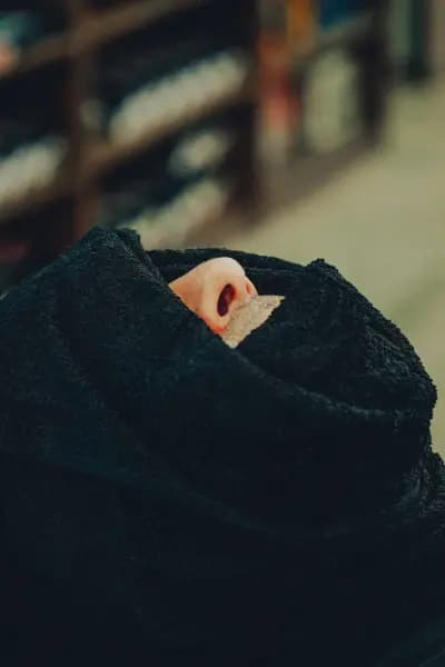 Zeus Barbershop Varna Centre | Премиум Бръснарница | Академия