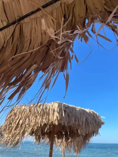 Bamboo Beach food & music