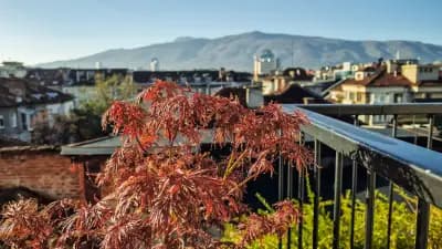 Juno Hotel Sofia, a Member of Design Hotels