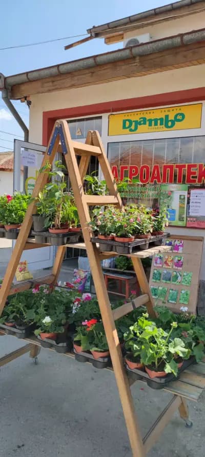 Агроаптека Джамбо 60 ООД