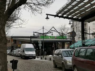 Сортови семена България