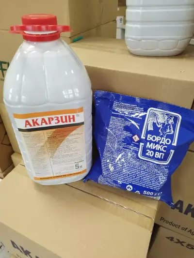 Djambo 60 Ltd Джамбо 60 ООД