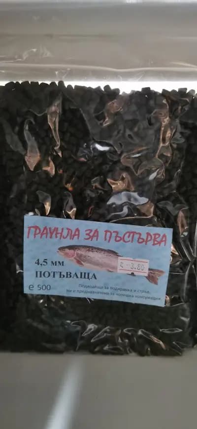 Рибарски магазин „От тъмно до тъмно“