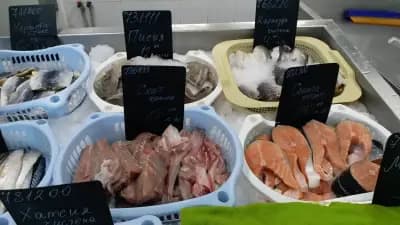 Магазин за Риба "Рибката"