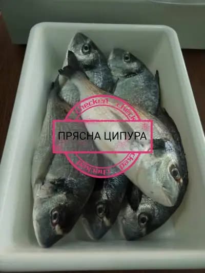 Рибен магазин,, Амур"
