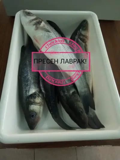 Рибен магазин,, Амур"