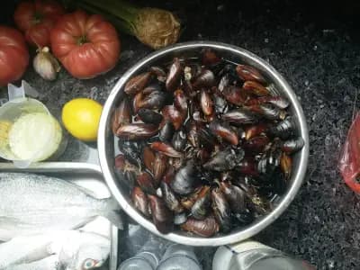 Морски дарове ООД