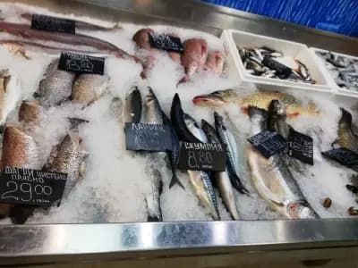 Fish Storе