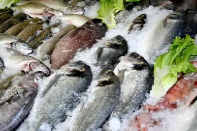 Морски Дар - Стамболийски