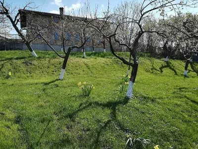 Игрище „Разбойна“