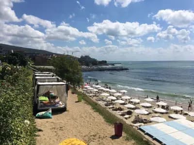 Pulse Sveti Vlas