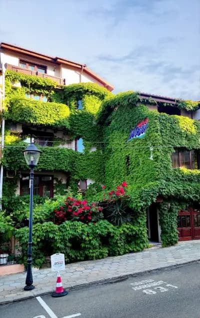 Family Hotel More