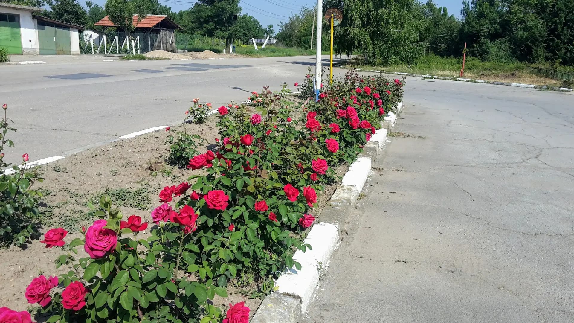 Петрол Вълчедръм