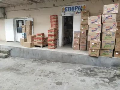 Елора