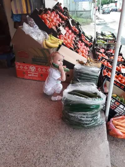 Поли ПП ООД