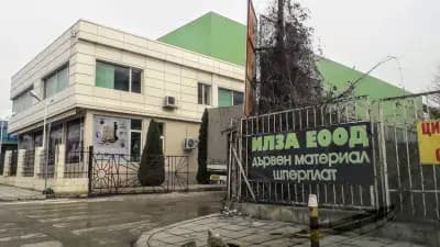 Борса за дървен материал Илза