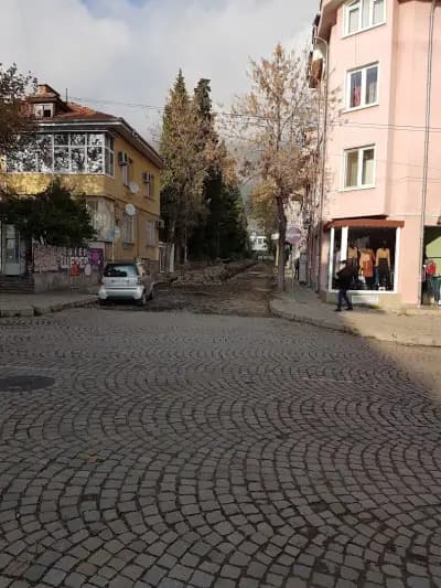 Терасист ООД