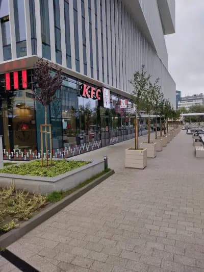 KFC БИЗНЕС ПАРК GTC
